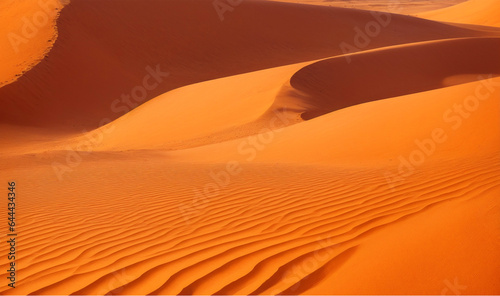 Fototapeta Naklejka Na Ścianę i Meble -  sand dunes in the desert