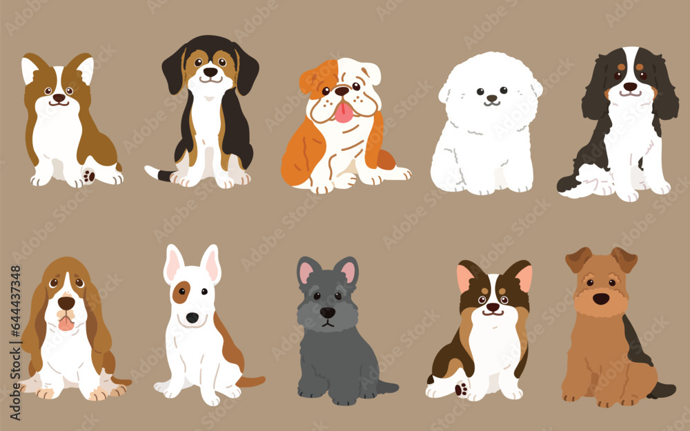 Simple and adorable illustrations of friendly medium sized dogs flat colored