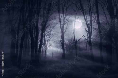 man silhouette in dark spooky moon lit forest at night © andreiuc88