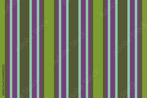 Pattern seamless fabric of texture background lines with a vertical textile stripe vector.