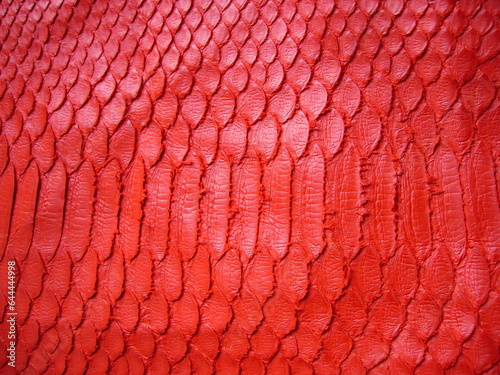 Obraz na plátně Bright red genuine python skin, snakes with wide scales