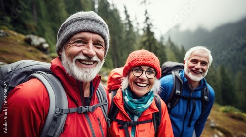 Group of seniors enjoying hiking in the mountains