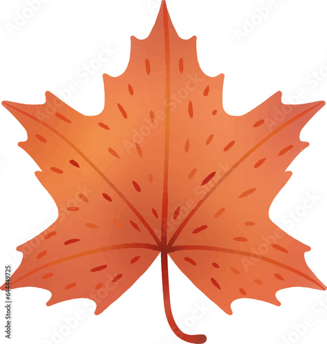 leaves change color in autumn