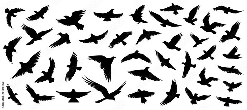 Obraz premium Set of silhouettes of flying birds in a flat style on a white background. Vector illustration