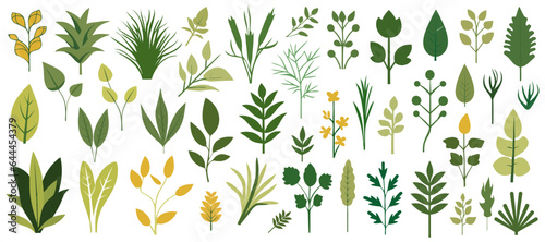 Abstract foliage collection. Botanical futuristic elements in flat style isolated on white background. Vector illustration