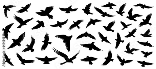 Set of silhouettes of flying birds in a flat style on a white background. Vector illustration