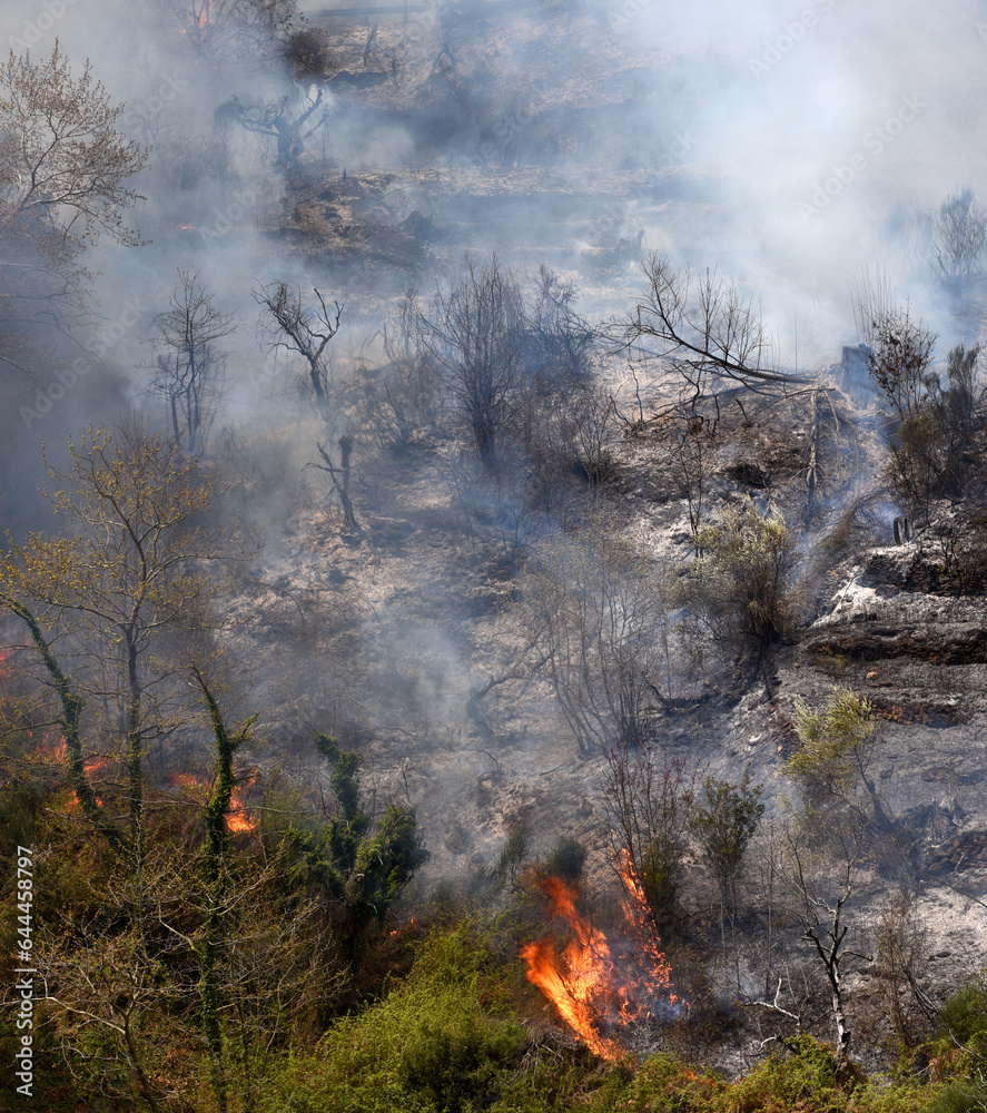 Waldbrand in Griechenland // Forest fire in Greece