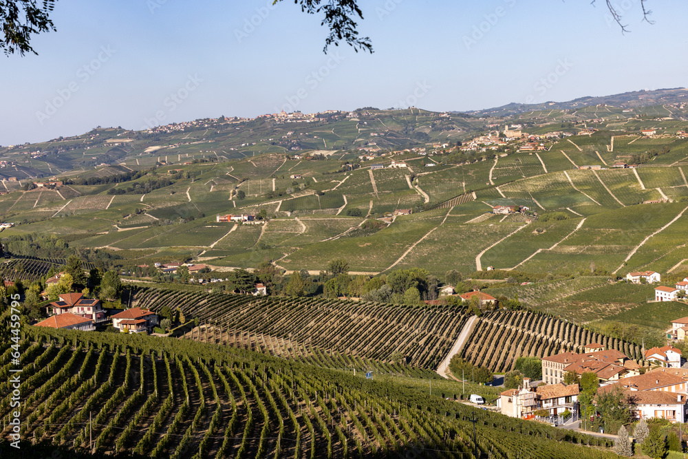 Langhe vineyards near Barolo Unesco Site, Piedmont, Italy