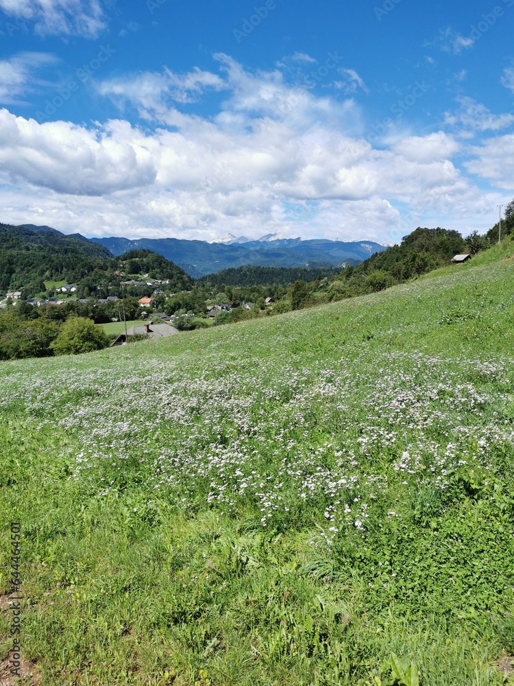 Mountain landscape near Radovljica, Slovenia