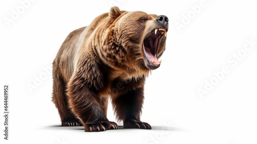 A fierce brown bear roaring in the wild