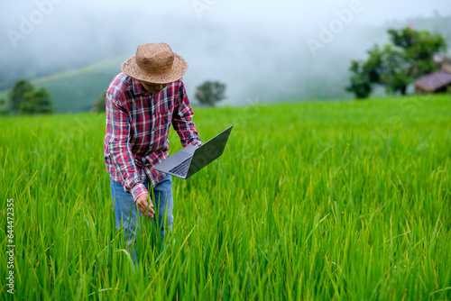 Farmers use laptops to collect data and research rice plants in the mountain fields in order to obtain good and large yields. agricultural technology.