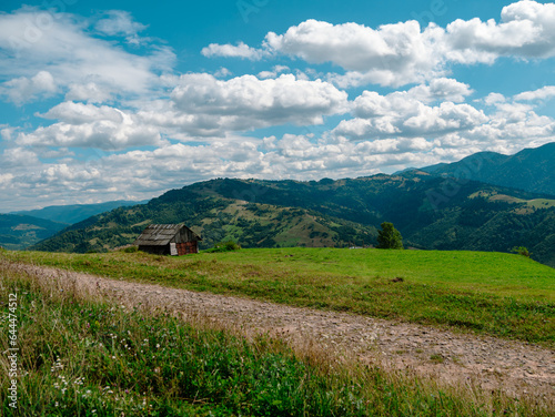 Village in Zakarpattya region with old authentic wooden houses Carpathian mountains view Ukraine, Europe. Scenic landscape green spruce trees sunny day Eco Local countryside tourism hiking Cottagecore