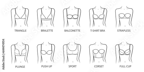 Collection of bras on a woman body. Female underwear types. Vector illustration on white background