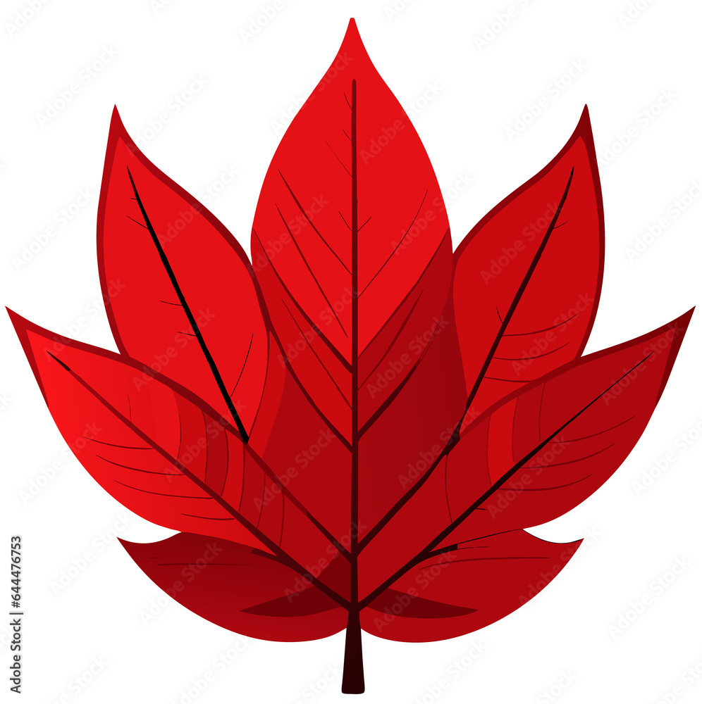 red leaf illustration red leaf illustration