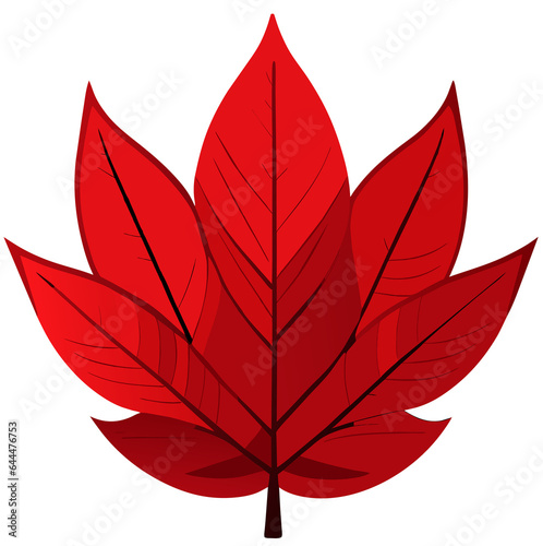 red leaf illustration