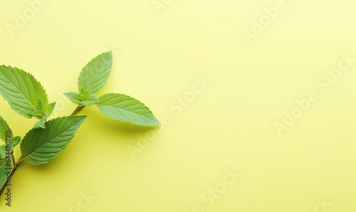 Fresh meadow mint leaves twig on a pastel yellow background. Created by AI