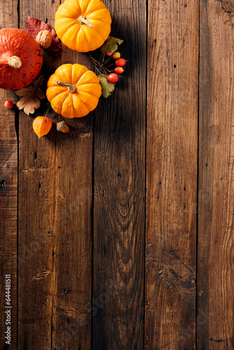 Fototapeta Naklejka Na Ścianę i Meble -  Harvest or Thanksgiving background with pumpkins, fallen leaves, berries on rustic wooden table