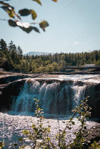 waterfall in the forest