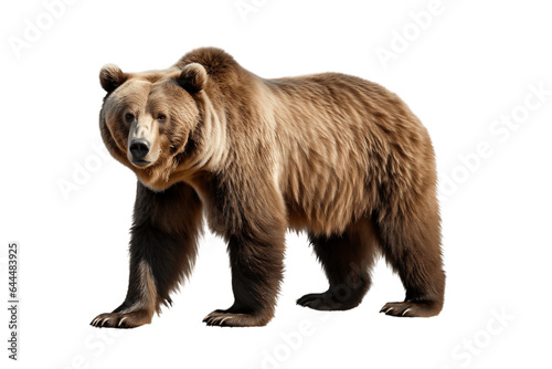 Gigantic Bear Isolated on a Transparent PNG Background. Generative Ai © Haider