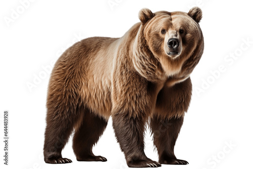 Gigantic Brown Bear Isolated on a Transparent PNG Background. Generative Ai © Haider