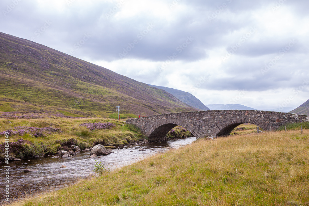 Lovely stone bridge in Scottish highlands in  on a summer day. Fields full of Calluna vulgaris, common heather, ling, or simply heather in full bloom. Violet blooms on the fields with a cloudy skies. 
