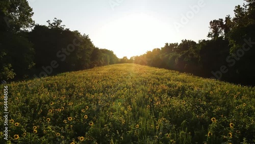 Aerial view of McKee-Beshers Wildlife Management Area, Poolesville, Maryland, United States. photo