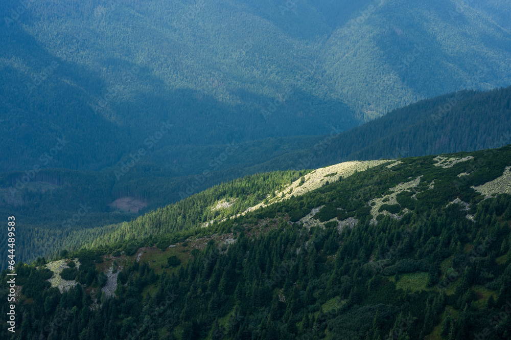 The mountains of Ukraine, the beautiful nature of the Carpathians
