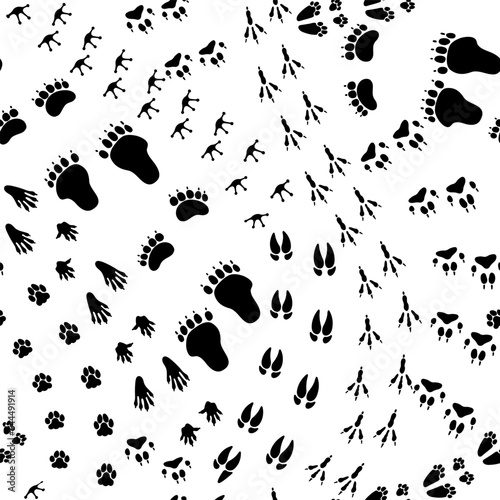 Seamless pattern animal trail. Texture with wild animals footprints, repeating paw trace, following pet track. Bear step, fox print foot. Vector illustration