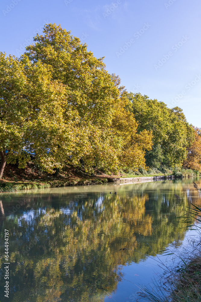 La Canal du Midi à Carcassonne, à l'automne La Canal du Midi à Carcassonne, à l'automne