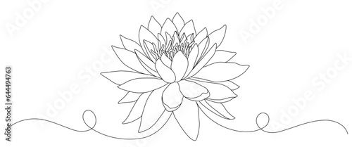 Lotus flower line art style