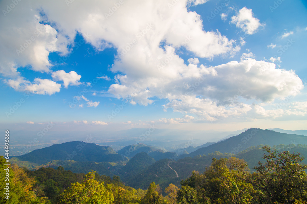 Fototapeta premium Mountain peak with grass pine forest sunset sky cloud nature landscape