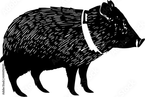 Collared Peccary icon 3