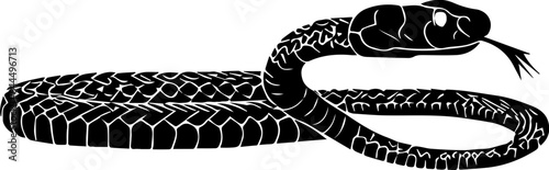 Coachwhip Snake icon 1
