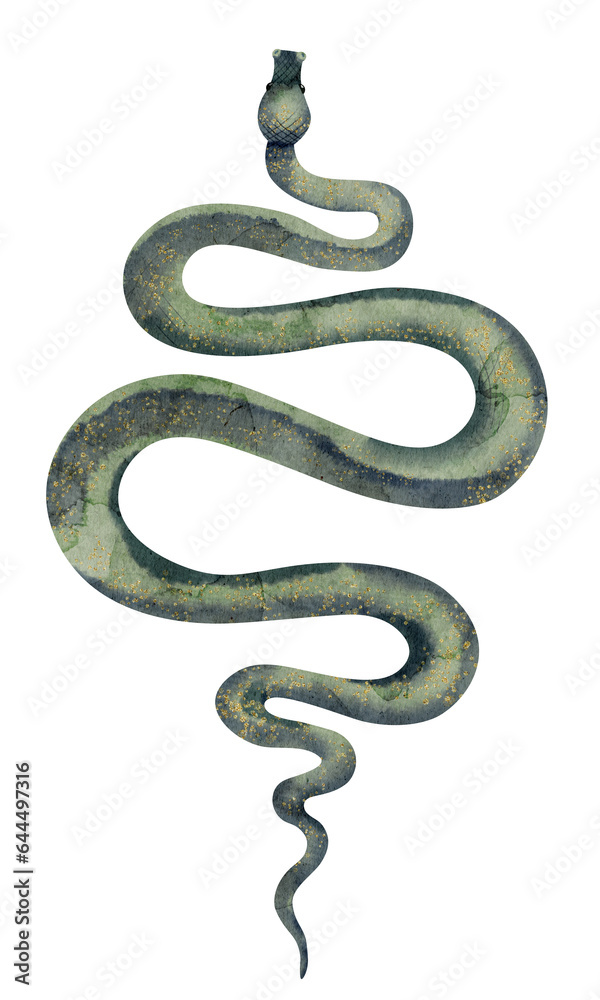Fototapeta premium Snake on white isolated background. Watercolor illustration of venomous Serpent. Hand drawn clip art of occult Viper. Drawing of green python. Sketch of cobra poisonous animal. Painting of anaconda.
