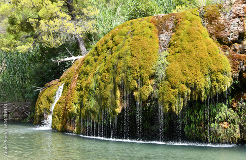Las Toscas (Valencia, Spain). Cascade in tufa deposits with a diverse Bryophytes species (mosses and liverworts). 