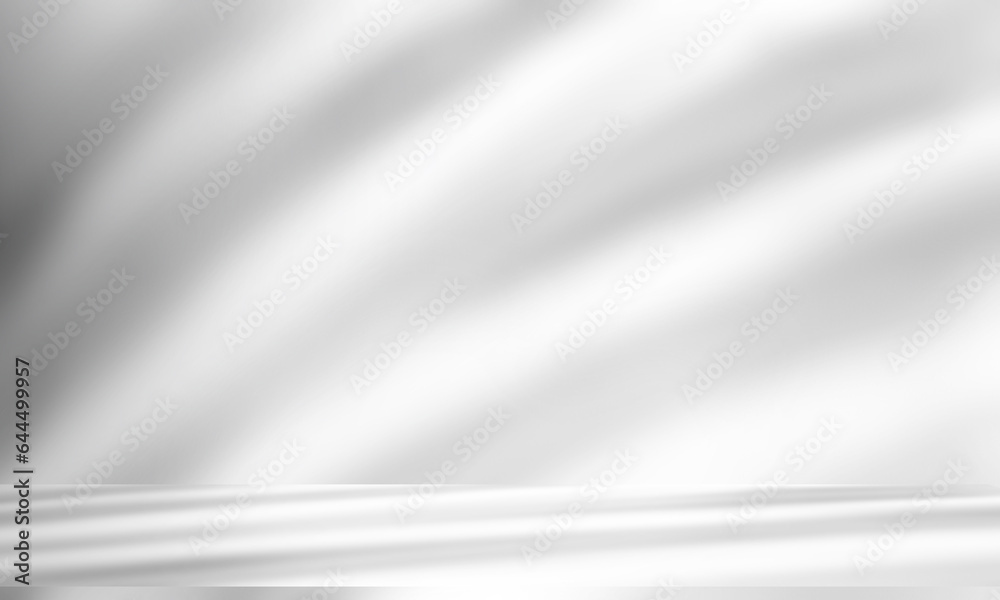 Empty studio interior background and backdrop and product display stand with shadow and white leaves on blank text background for inserting Empty studio interior background and backdrop and product display stand with shadow and white leaves on blank text background for inserting