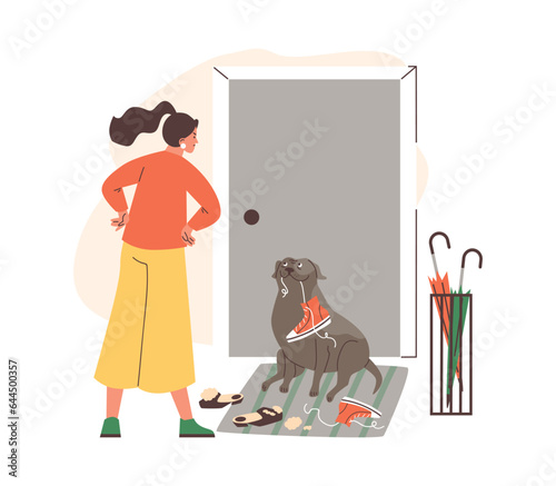 Woman upset from naughty dog chewing, tearing shoes, bad canine behavior damaging things at hallway vector illustration