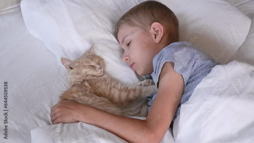 the boy falls asleep and hugs his ginger cat, who sleeps with him under the covers. children and pets. the cat sleeps with the baby. the child is getting ready for bed the boy falls asleep and hugs his ginger cat, who sleeps with him under the covers. children and pets. the cat sleeps with the baby. the child is getting ready for bed