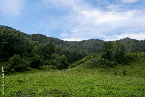 Amazing view of mountains and forest landscape with cloudy skies Altai mountains. Natural green landscapes against the background of clouds, and below the village of Manzherok, Altai Republic, Russia. © Анатолий Савицкий