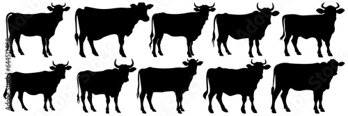 Cow bull farm animals silhouettes set, large pack of vector silhouette design, isolated white background