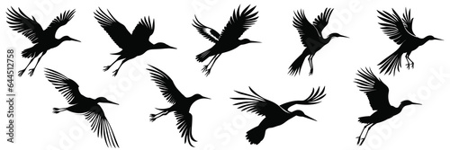 Stork bird silhouettes set, large pack of vector silhouette design, isolated white background
