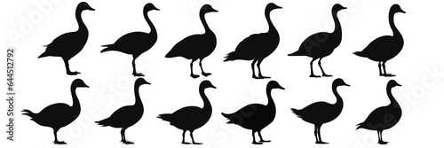 Duck goose hunting silhouettes set  large pack of vector silhouette design  isolated white background