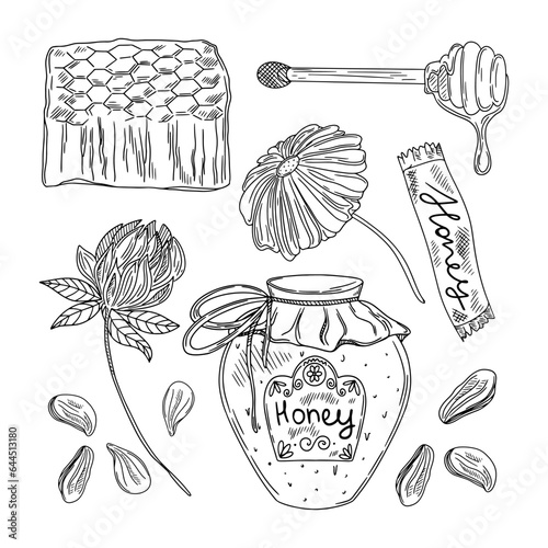 vector drawing on the theme of honey, beekeeping. black and white illustration graphics, sketch. honey, honeycombs, bees.