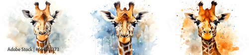 Collection of giraffe watercolor illustrations, interior decoration, white background. Set of giraffe aquarelle illustration with color splashes, animal painting. Colorful giraffe muzzle illustration