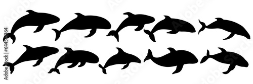 Whale orca silhouettes set, large pack of vector silhouette design, isolated white background