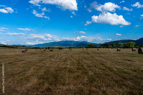 Landscape of straw bales in late summer