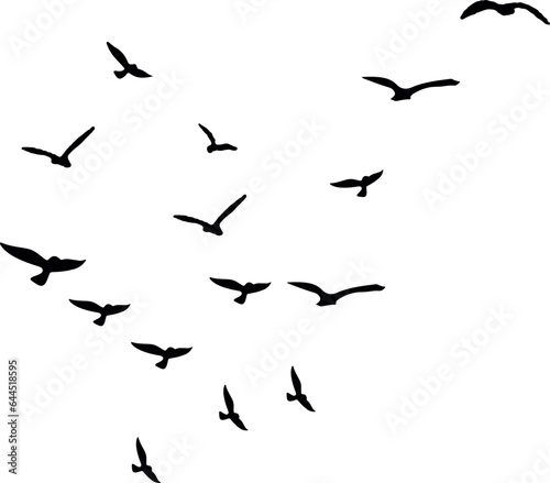 Birds icon vector set. fly illustration sign collection. nature symbol. © Suvankor