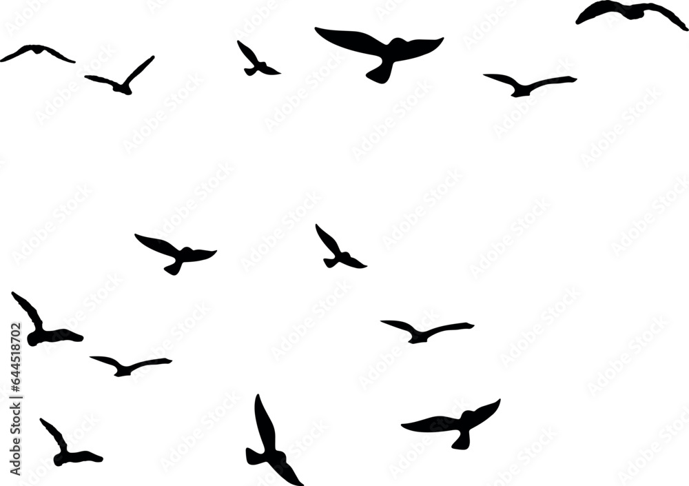 birds in flight	