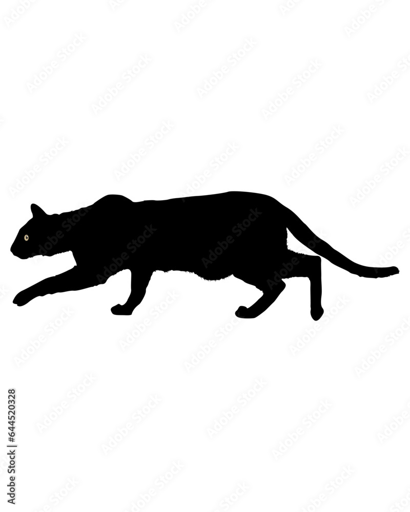 Cat vector Silhouette illustration