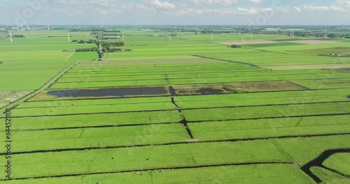 Aerial view of peat meadow nature reserve De Wilck with grassland, cows and meandering stream Slingerwetering, Hazerswoude-Dorp, Zuid-Holland, Netherlands photo